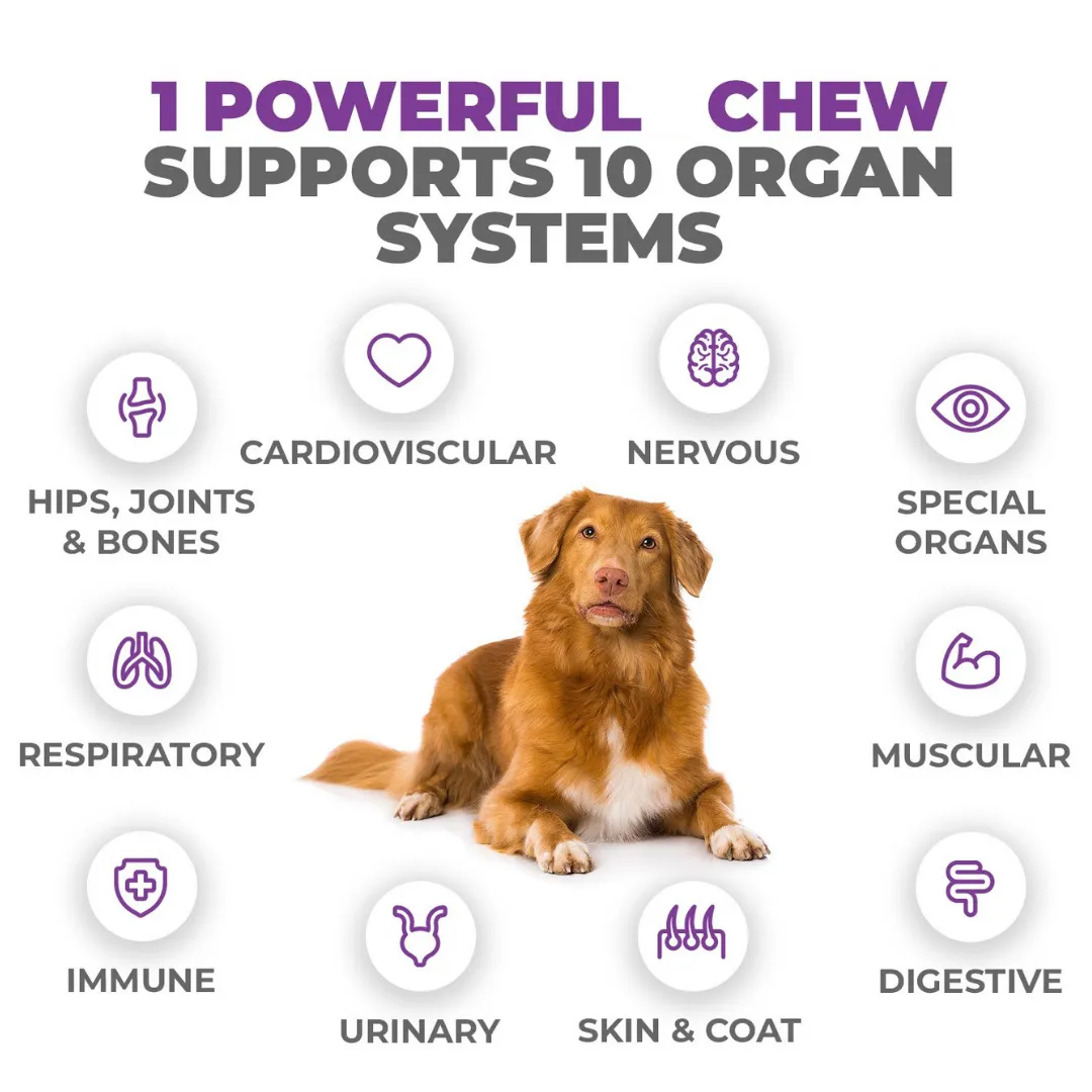 10-in-1 MAX Multivitamin for Cats - Supports Overall Health