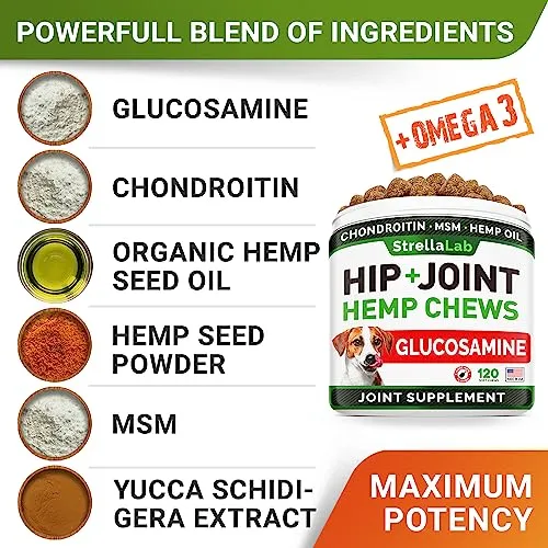 Advanced Hemp   Glucosamine Dog Joint Supplement - Hip Joint Pain Relief - Mobility Hemp Chews for Dogs - Chondroitin, MSM, Omega - Hemp Oil Treats - Made in USA - Lamb Flavor - 120 Hemp Treats