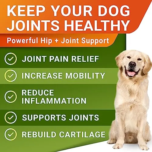 Advanced Hemp   Glucosamine Dog Joint Supplement - Hip Joint Pain Relief - Mobility Hemp Chews for Dogs - Chondroitin, MSM, Omega - Hemp Oil Treats - Made in USA - Lamb Flavor - 120 Hemp Treats