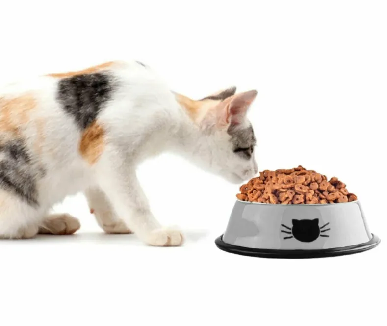 Anti Slip Stainless Steel Dog Cat Feeding Feeder Food Water Bowl