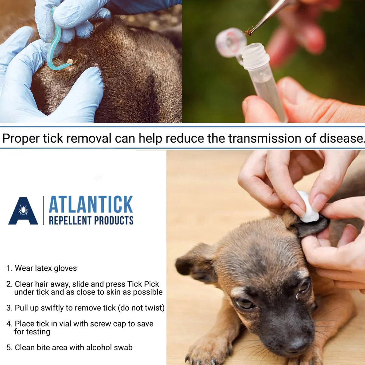 Atlantick - Tick Pick Remover with Key Chain & ID Card