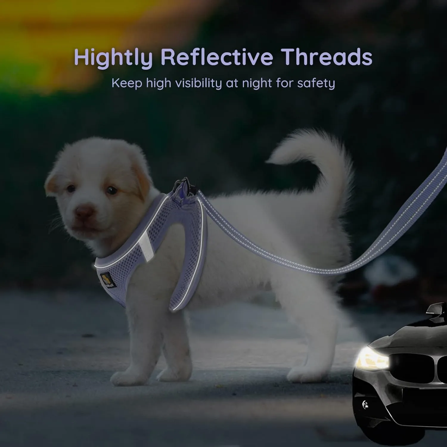 BELLA & PAL Puppy Harness with Leash Set, Step in Harness for Small Dogs, Dog Air Mesh Dog Vest Harness with Reflective Strip, No Pull No-Chock Harness for XXS, XS, Small, Medium Dog (Lavender, XS)