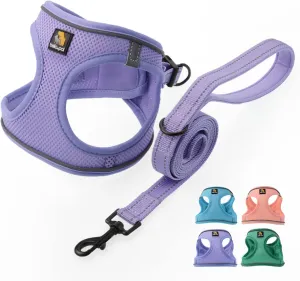 BELLA & PAL Puppy Harness with Leash Set, Step in Harness for Small Dogs, Dog Air Mesh Dog Vest Harness with Reflective Strip, No Pull No-Chock Harness for XXS, XS, Small, Medium Dog (Lavender, XS)