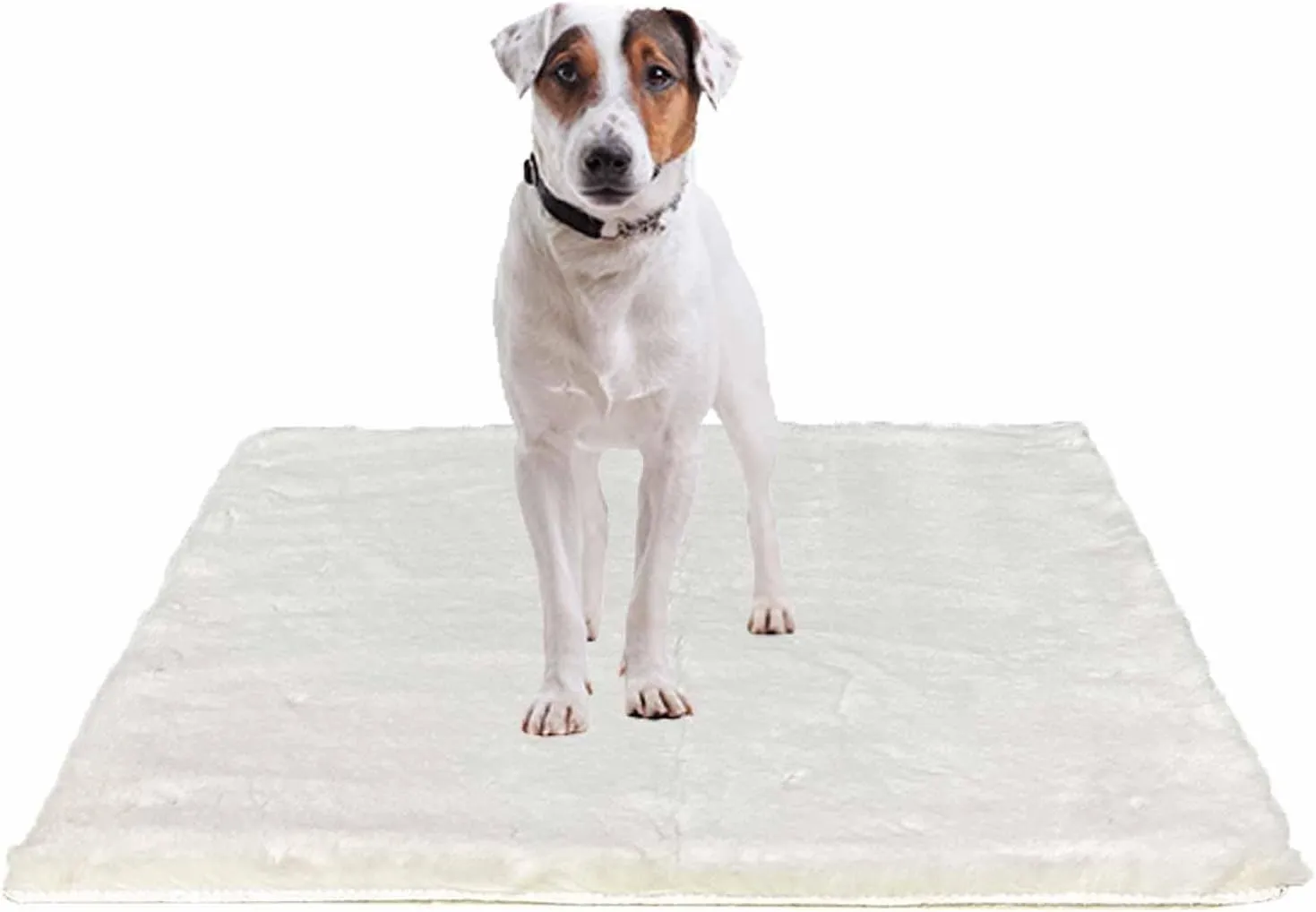 Dog Bed Mat Crate Pads for Dog Cages 35.8x26.7 Inch Washable Anti-Slip Dog Kennel Pad Soft Small Medium Puppy Cage Cushion Liner, Beige
