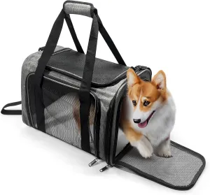 Dog Carrier for Pets, Up to 25 Lbs, Collapsible Travel Carriers for Puppy with Shoulder Strap and Removable Ma, 20x13x13 Inchest, Grey