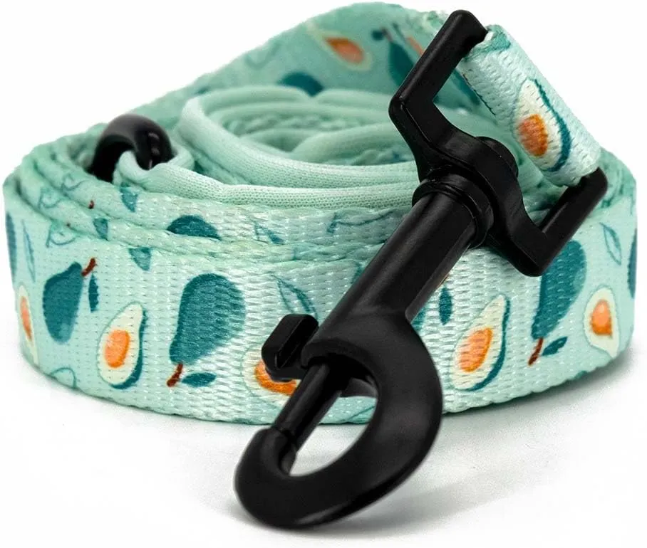 Dog Cat Harness and Leash Set, Puppia Soft Mesh Padded and Adjustable Puppy Vest Cute Dog Clothes Escape Proof Easy Walk Pet Accessories