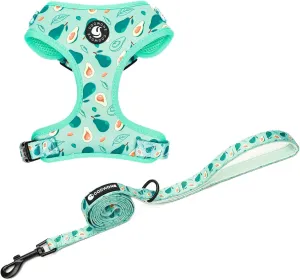 Dog Cat Harness and Leash Set, Puppia Soft Mesh Padded and Adjustable Puppy Vest Cute Dog Clothes Escape Proof Easy Walk Pet Accessories