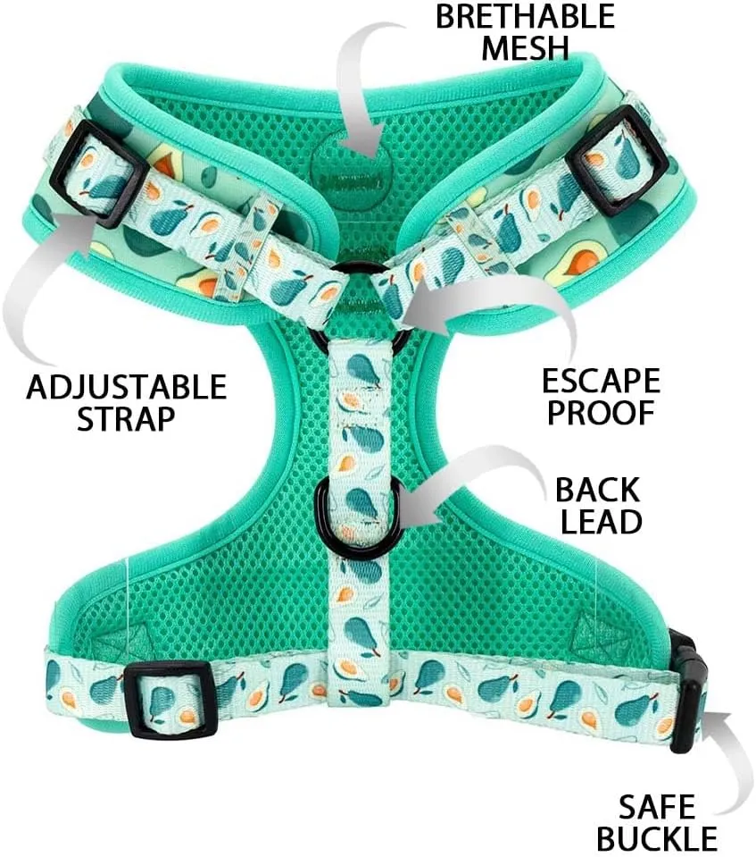 Dog Cat Harness and Leash Set, Puppia Soft Mesh Padded and Adjustable Puppy Vest Cute Dog Clothes Escape Proof Easy Walk Pet Accessories