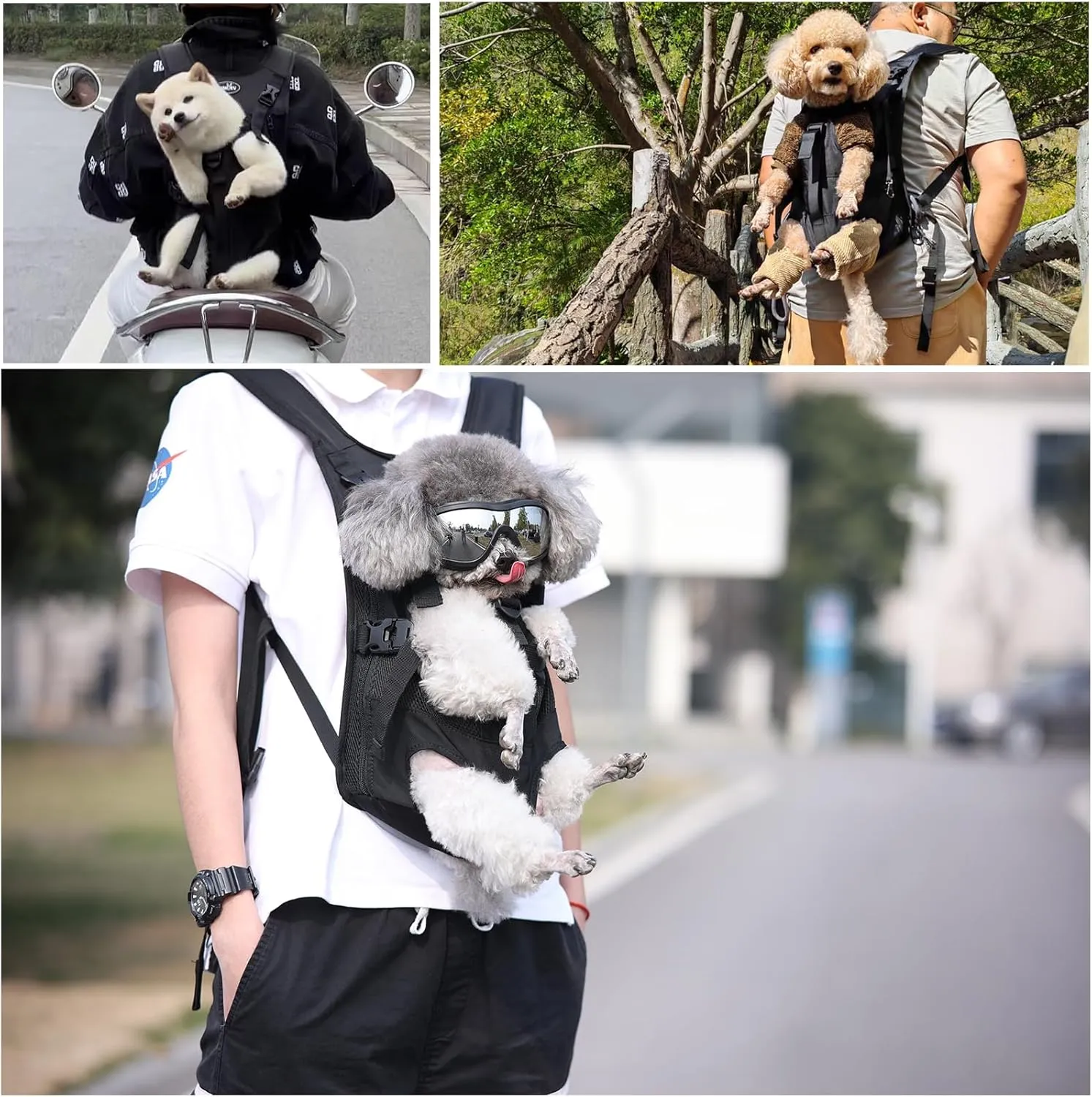 Dog Front Carrier Backpacks for Small Dogs, Legs Out Pet Carrier Sling Backpack with Adjustable Padded Ventilated Shoulder Straps, Easy-Fit for Traveling Hiking Camping, XL
