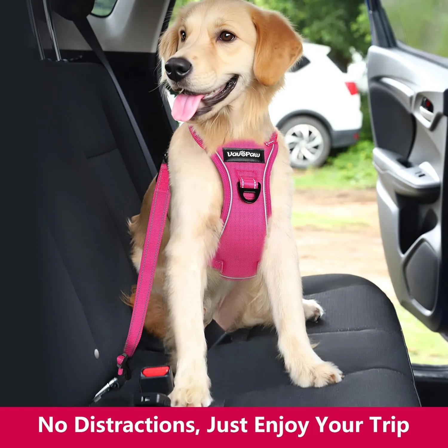 Dog Seat Belt Harness for Car, Dog Car Harness Adjustable Mesh Breathable & Dog Seatbelt Safety Tether with Elastic Bungee for Small Medium Large Pets(Rose, XL)