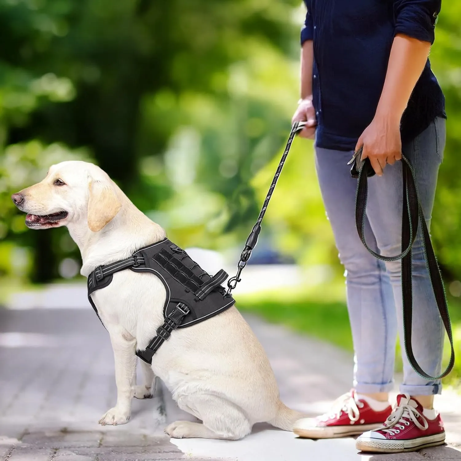 Dog Vest Harness-No Pull Adjustable Reflective,Escape-Proof Padded Design for Large/Medium Dogs,Service Dog & Outdoor, Hiking/Car Travel(Black S)
