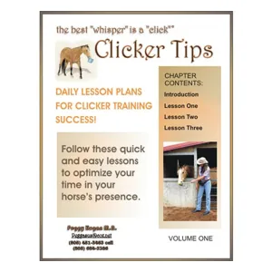 E-BOOK Clicker Tips by Peggy Hogan