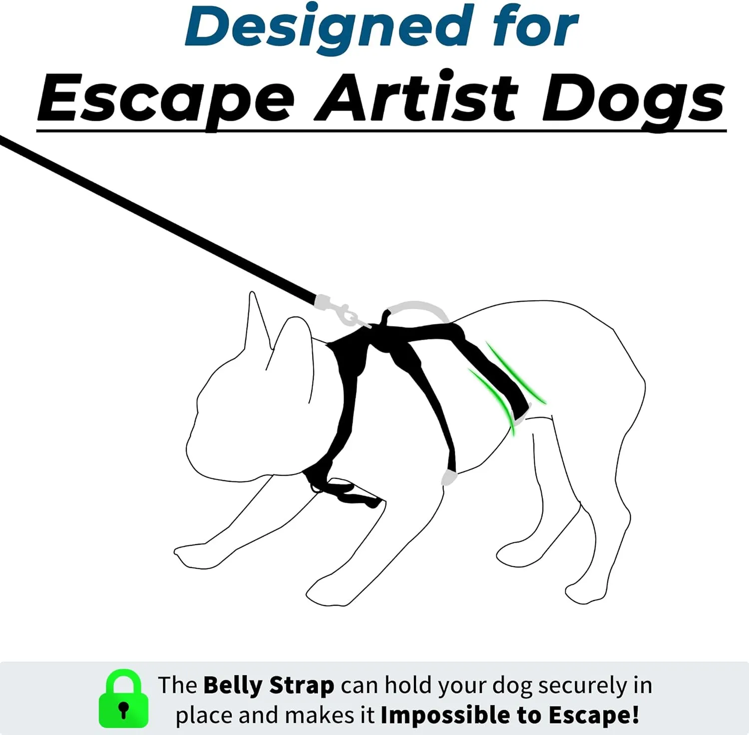 Escape Proof Dog Harness and Leash Set, Lightweight Dog Harness with Lift and Assist Handle, No Pull Reflective Pet Vest for Small Medium Dogs, Ideal for Puppy Walking and Training (Black,XS)