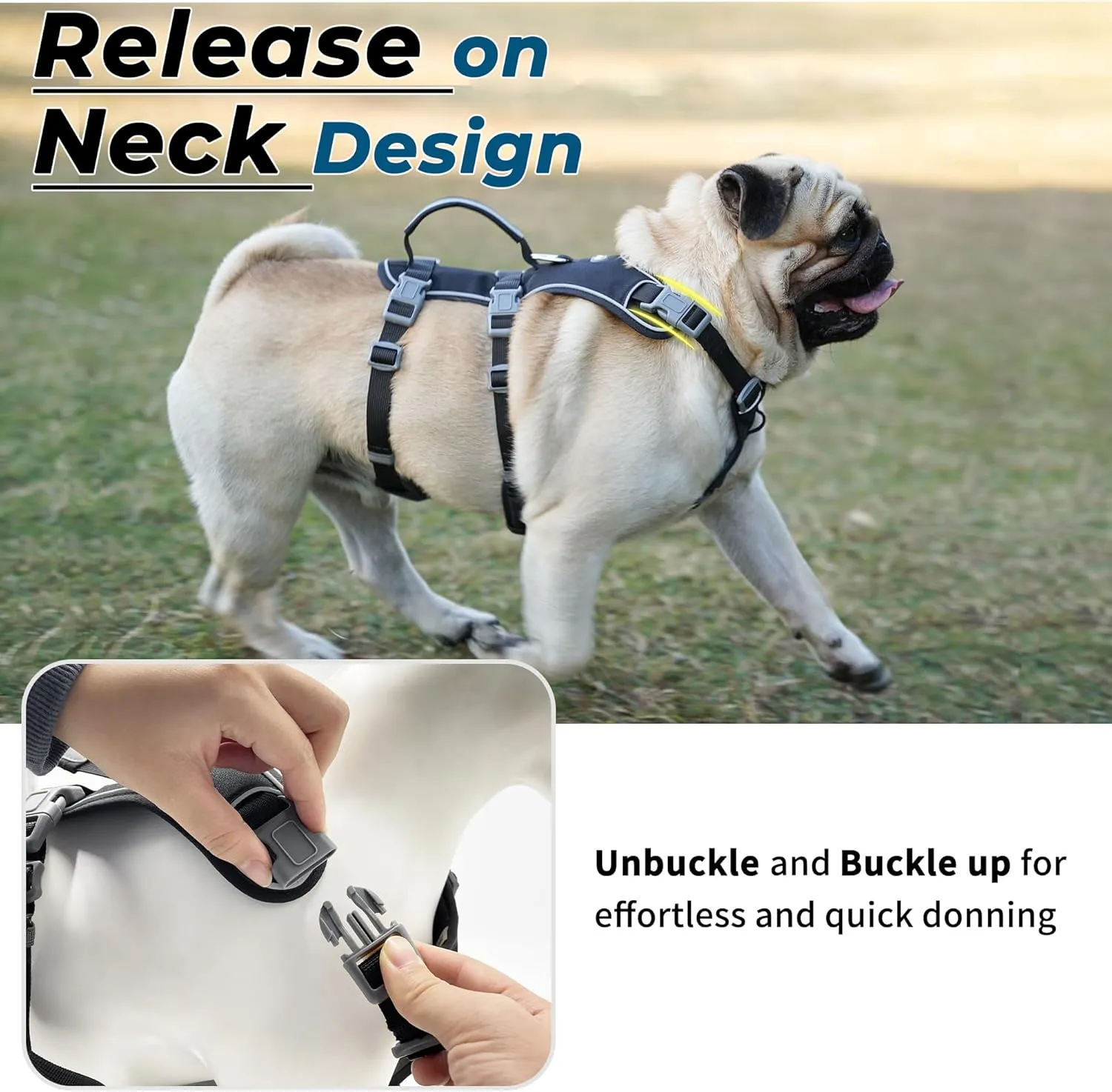 Escape Proof Dog Harness and Leash Set, Lightweight Dog Harness with Lift and Assist Handle, No Pull Reflective Pet Vest for Small Medium Dogs, Ideal for Puppy Walking and Training (Black,XS)