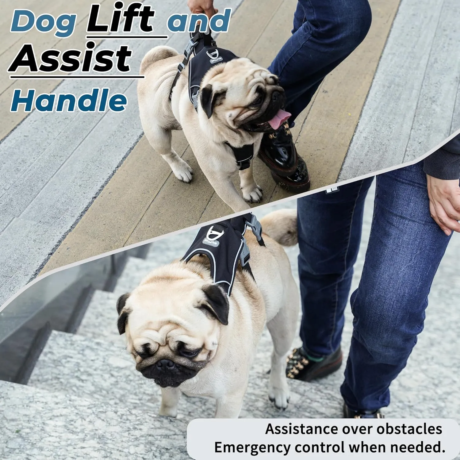 Escape Proof Dog Harness and Leash Set, Lightweight Dog Harness with Lift and Assist Handle, No Pull Reflective Pet Vest for Small Medium Dogs, Ideal for Puppy Walking and Training (Black,XS)