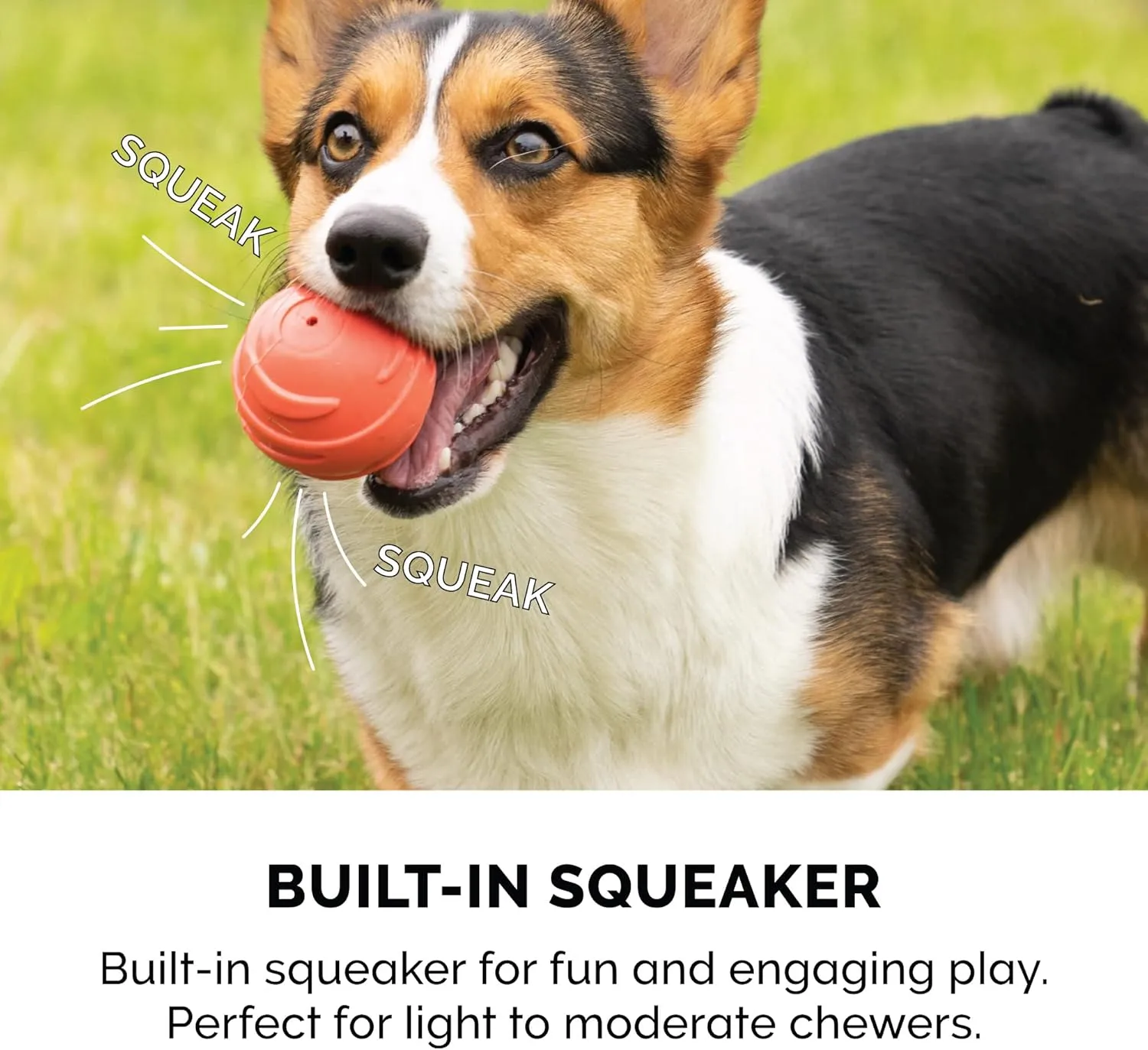 Furhaven 3-Pack 2.5" Squeaky Ball Dog Toys for Small/Medium Dogs, Fits Most Standard Launchers - Fetch 'N Fun TPR Squeaky Ball Toy Set - Sea Pack, Set of 3