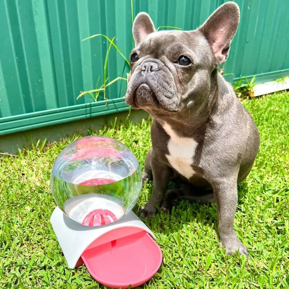 Gravity Water Bubble Fountain