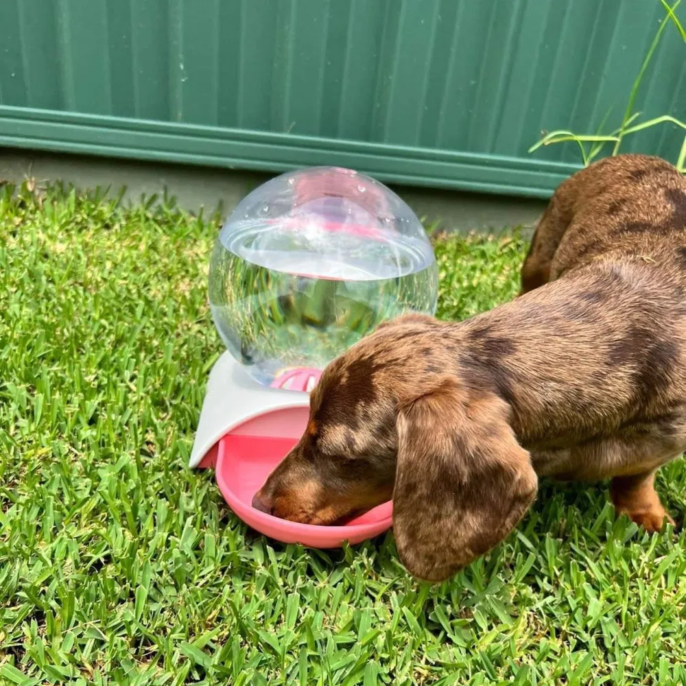 Gravity Water Bubble Fountain