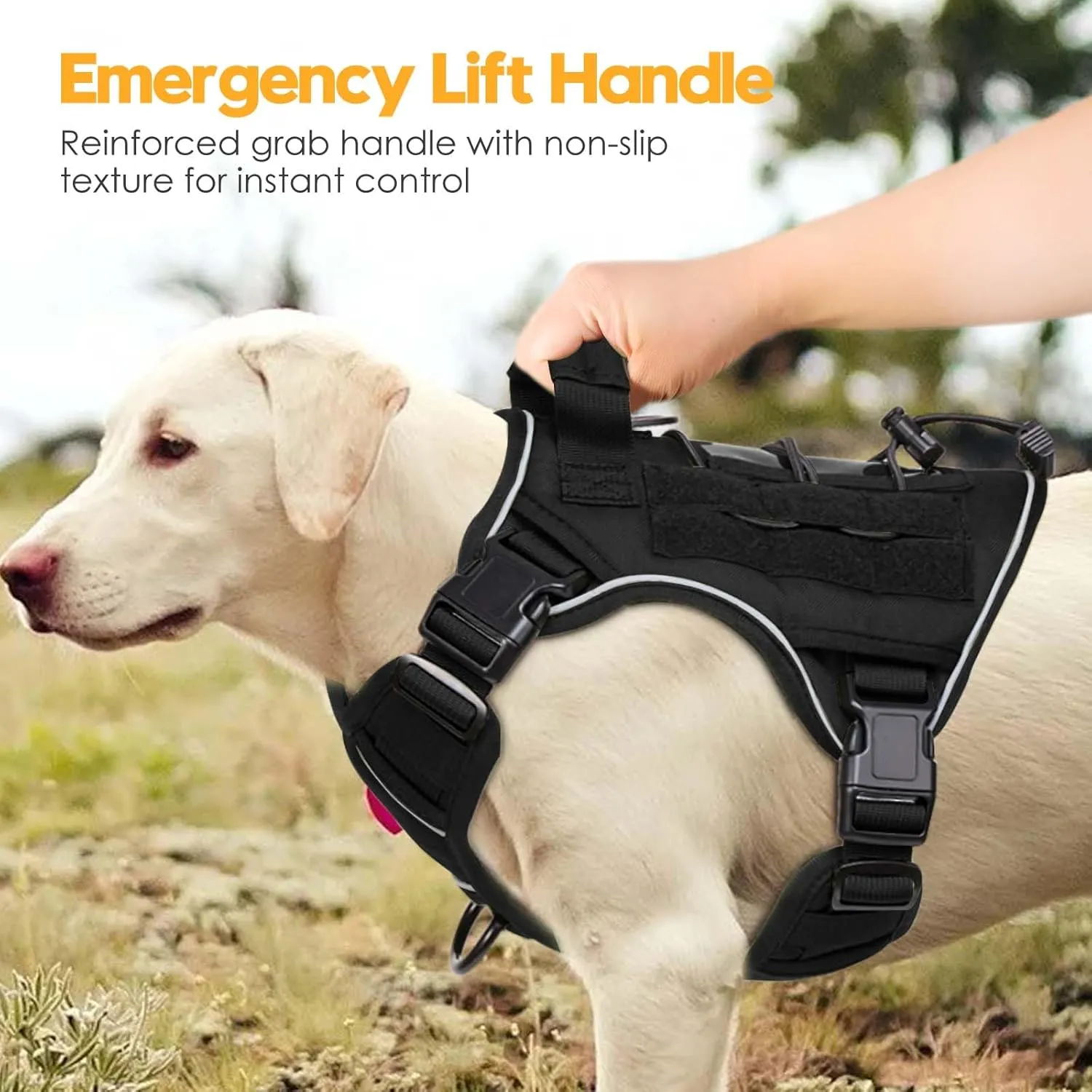 Heavy-Duty Tactical Dog Harness for Large Dogs, No Pull Adjustable Reflective Pet Vest with Molle System, K9 Military-Grade Control for Service Training, Outdoor & 10  Breeds, Black, Medium
