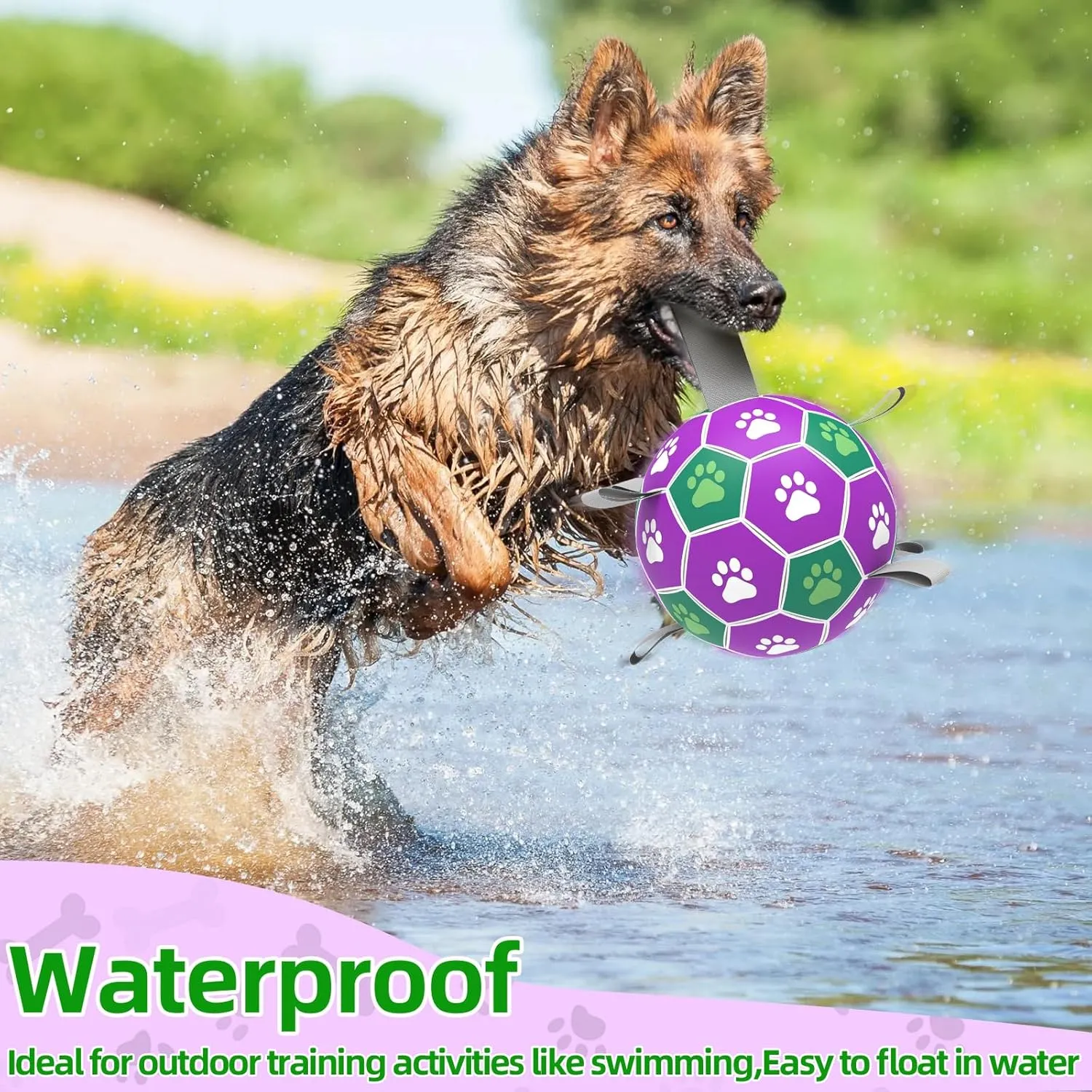 Interactive Soccer Ball With Nylon Strap - Dog Outdoor Water Toy, Durable Fetch Ball for Medium Large Breed Puppies (7 Inch)