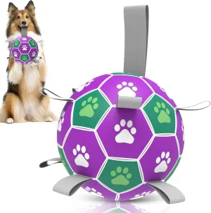 Interactive Soccer Ball With Nylon Strap - Dog Outdoor Water Toy, Durable Fetch Ball for Medium Large Breed Puppies (7 Inch)