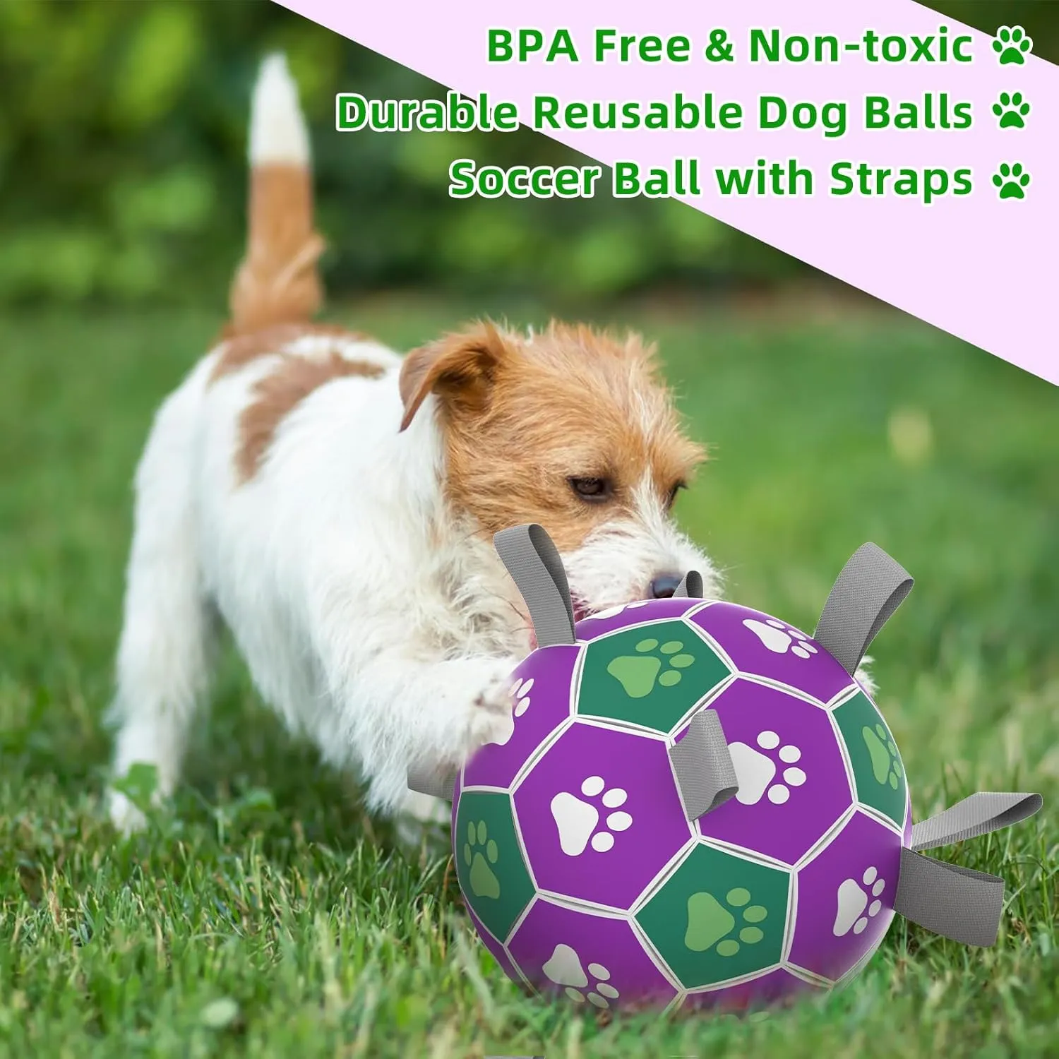 Interactive Soccer Ball With Nylon Strap - Dog Outdoor Water Toy, Durable Fetch Ball for Medium Large Breed Puppies (7 Inch)