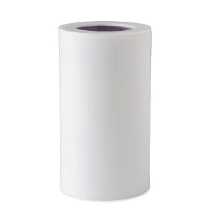 iSpring FDF1 Faucet Mount Water Filter Replacement Cartridge for DF1/DF2