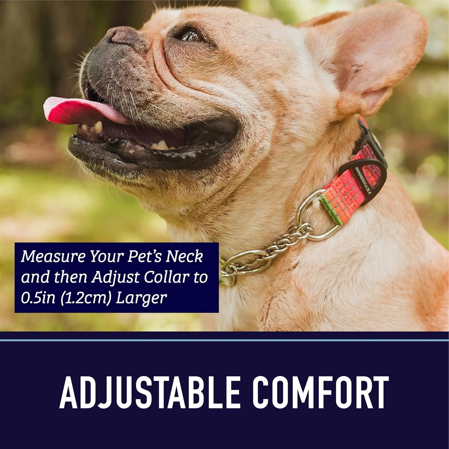 Leash Boss Martingale  -  |   |  