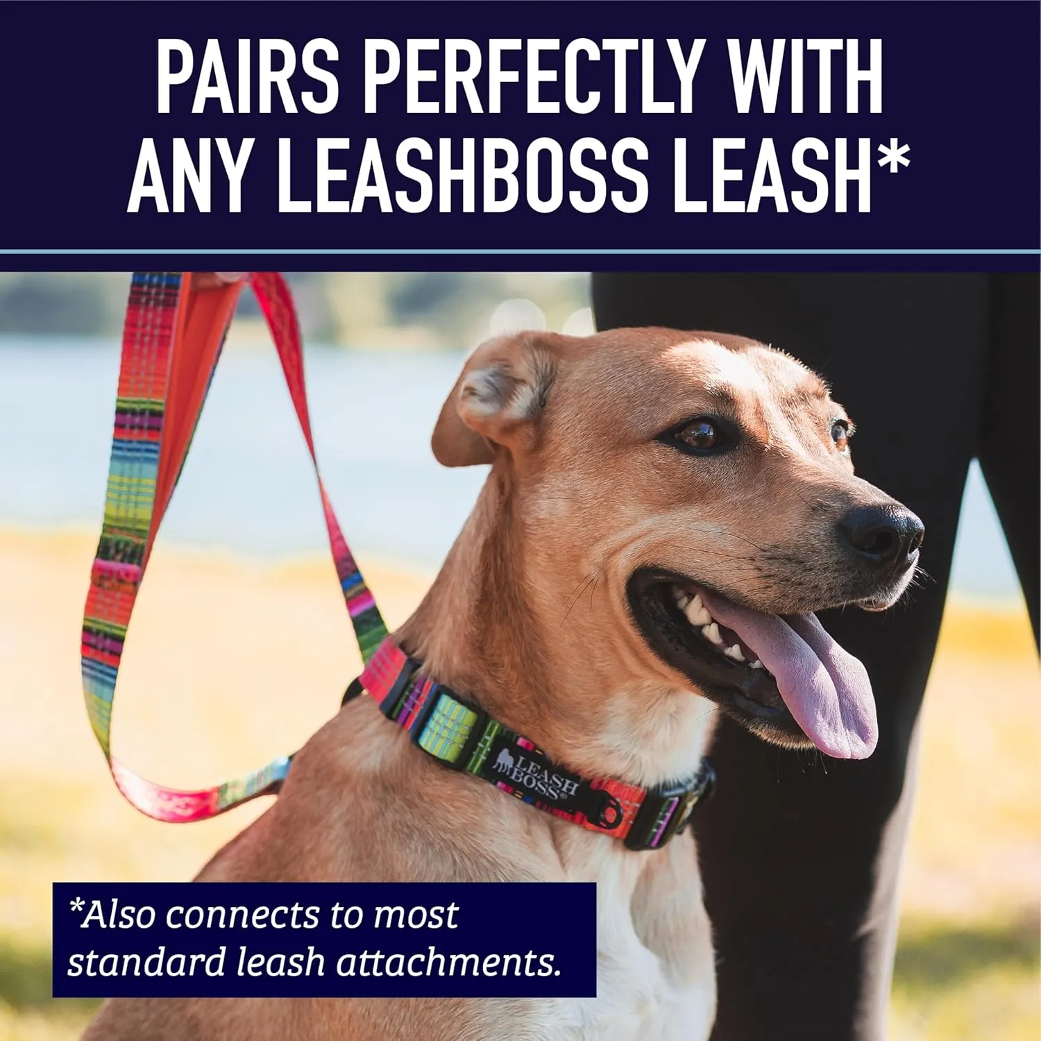 Leash Boss Martingale  -  |   |  