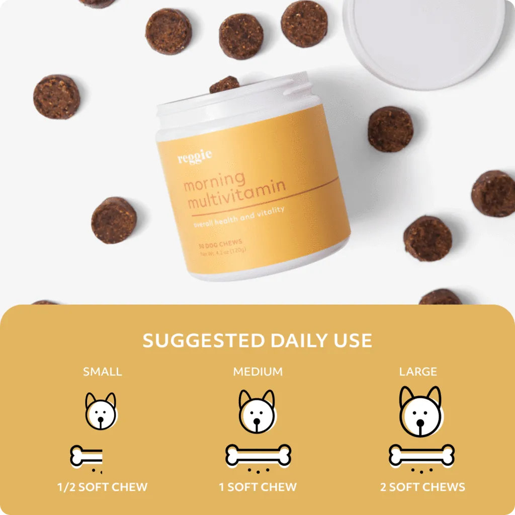 Multivitamin Soft Chews For Dogs - Vitality Supplement Zinc