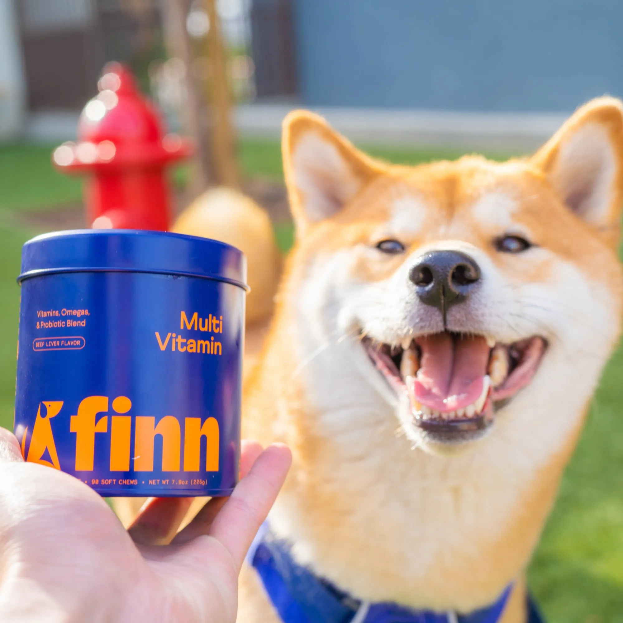 Multivitamin Supplement for Dogs