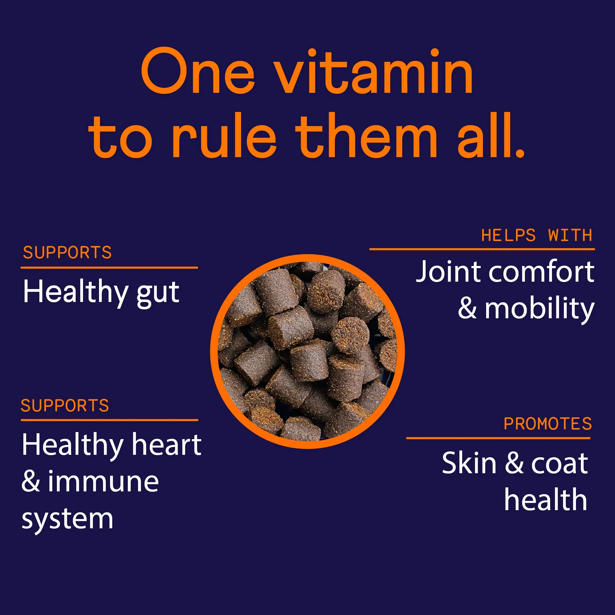 Multivitamin Supplement for Dogs