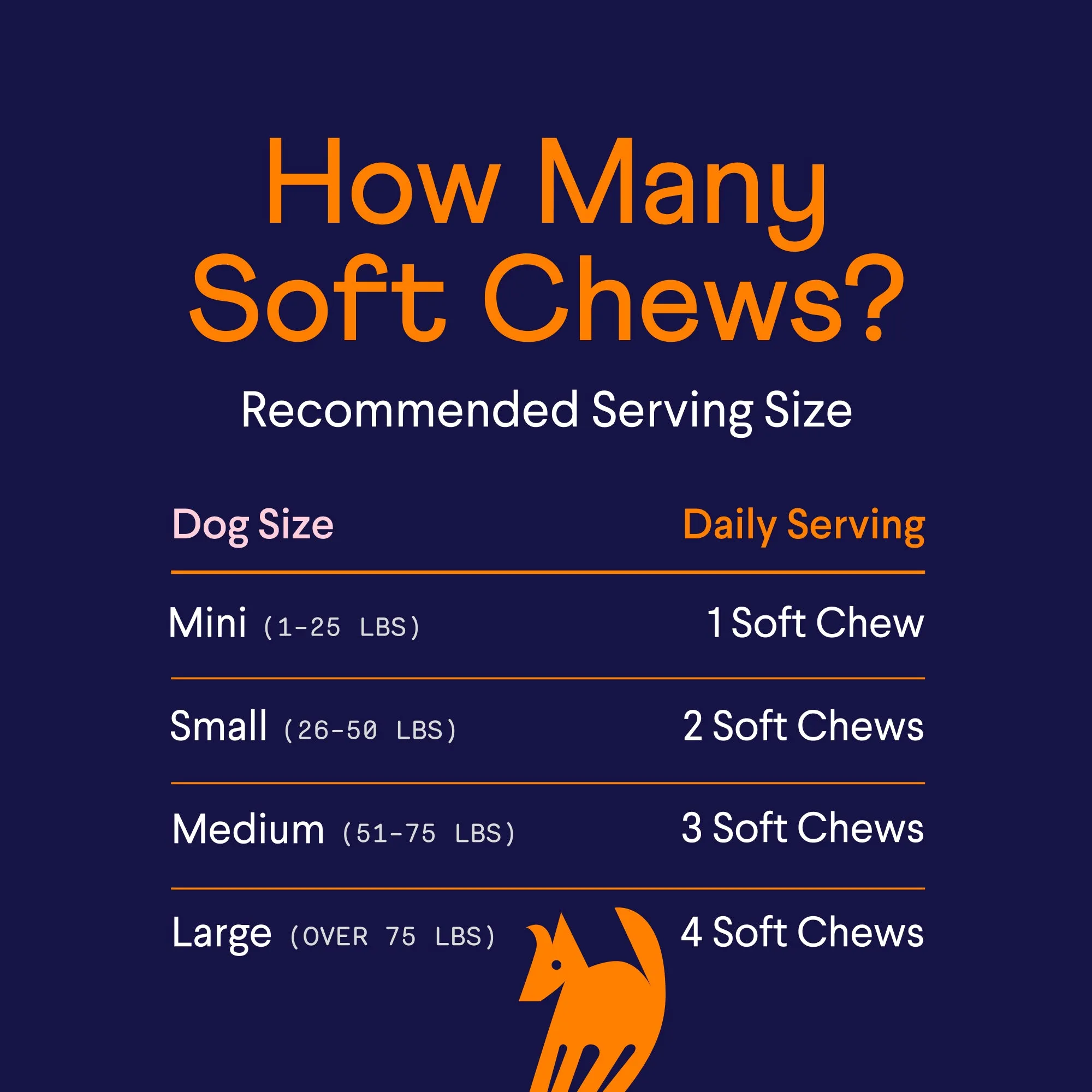 Multivitamin Supplement for Dogs
