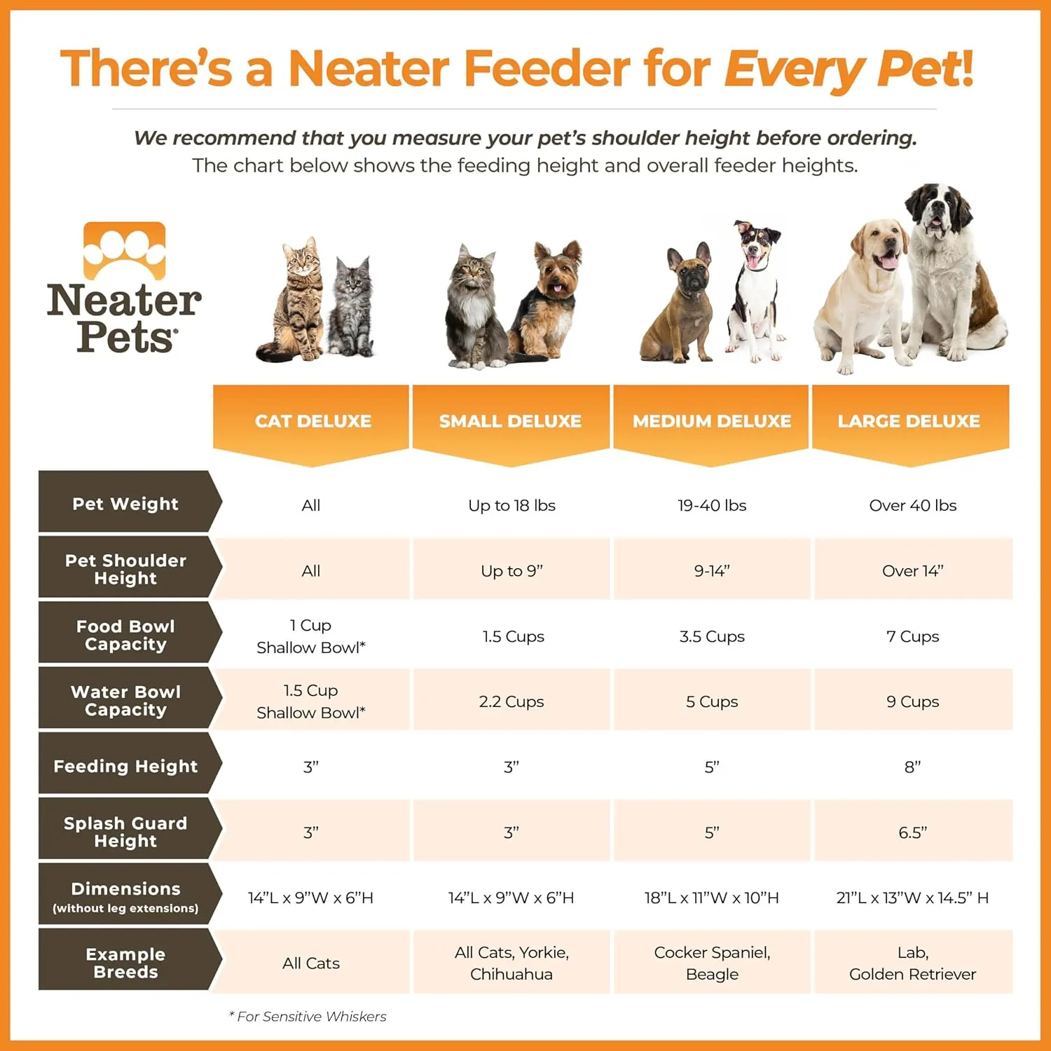 Neater Feeder Deluxe Mess Proof Dog Bowls Elevated Medium Sized Dog Breed  Made in USA  No Spill Raised Dog Food Bowl Stand  Stainless Steel Food and Water Bowl Set, Pet Feeding Station, Black