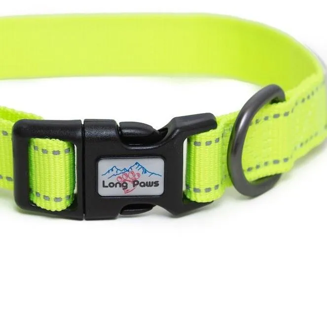 Neon Dog Collar | Hi Viz