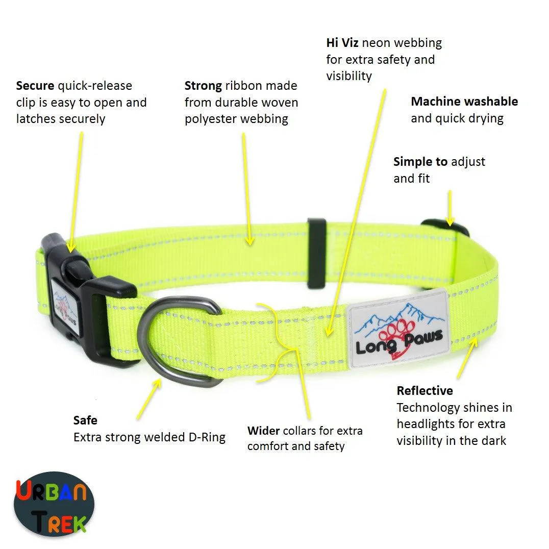 Neon Dog Collar | Hi Viz