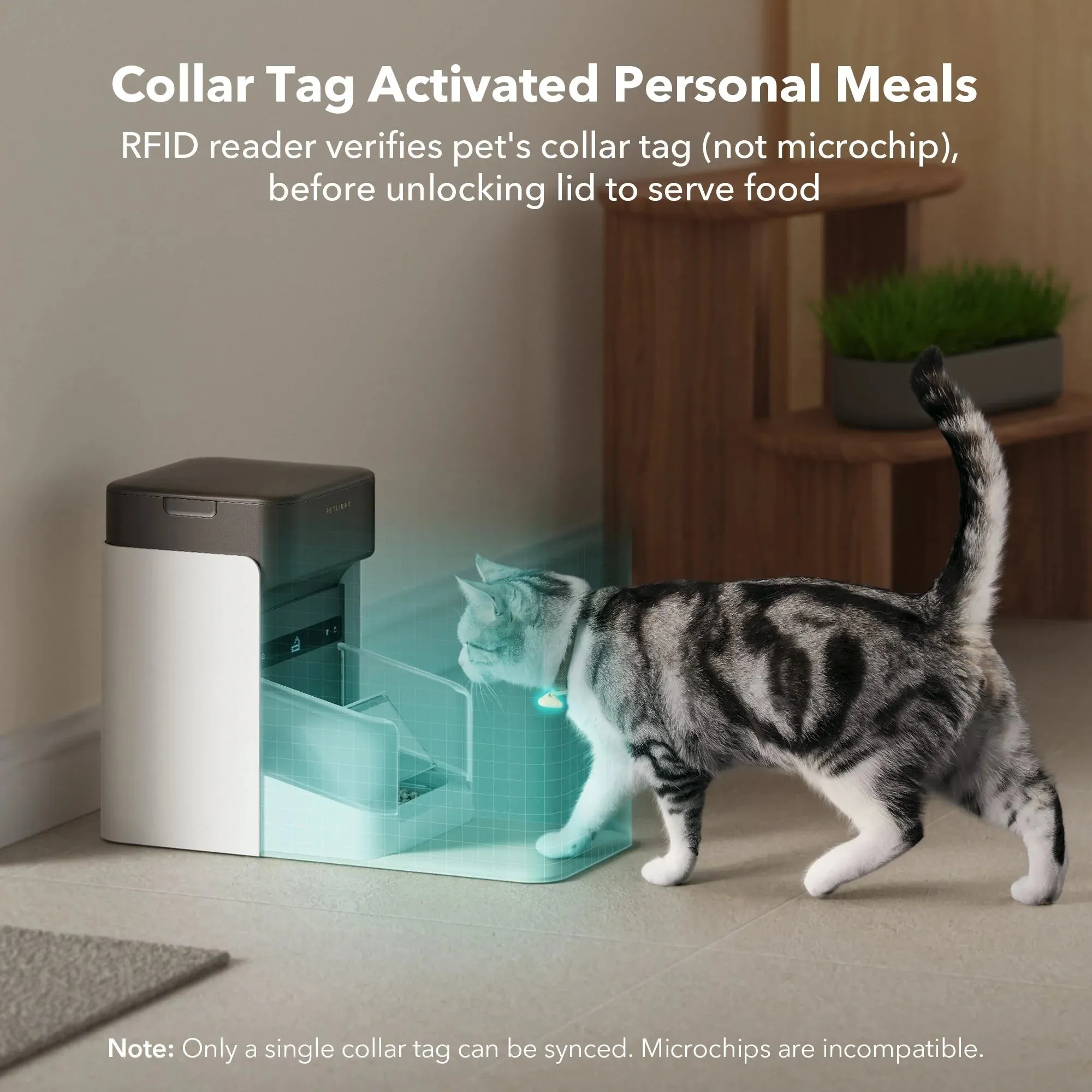 One RFID Smart Feeder