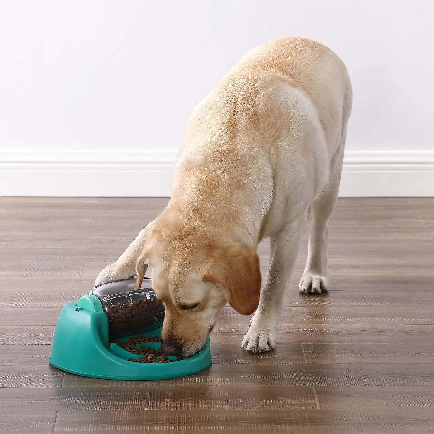 Outward Hound by Nina Ottosson Dog Spin N' Eat Dog Puzzle and Slow Feeder, Level 2 Intermediate Enrichment Toy, Green