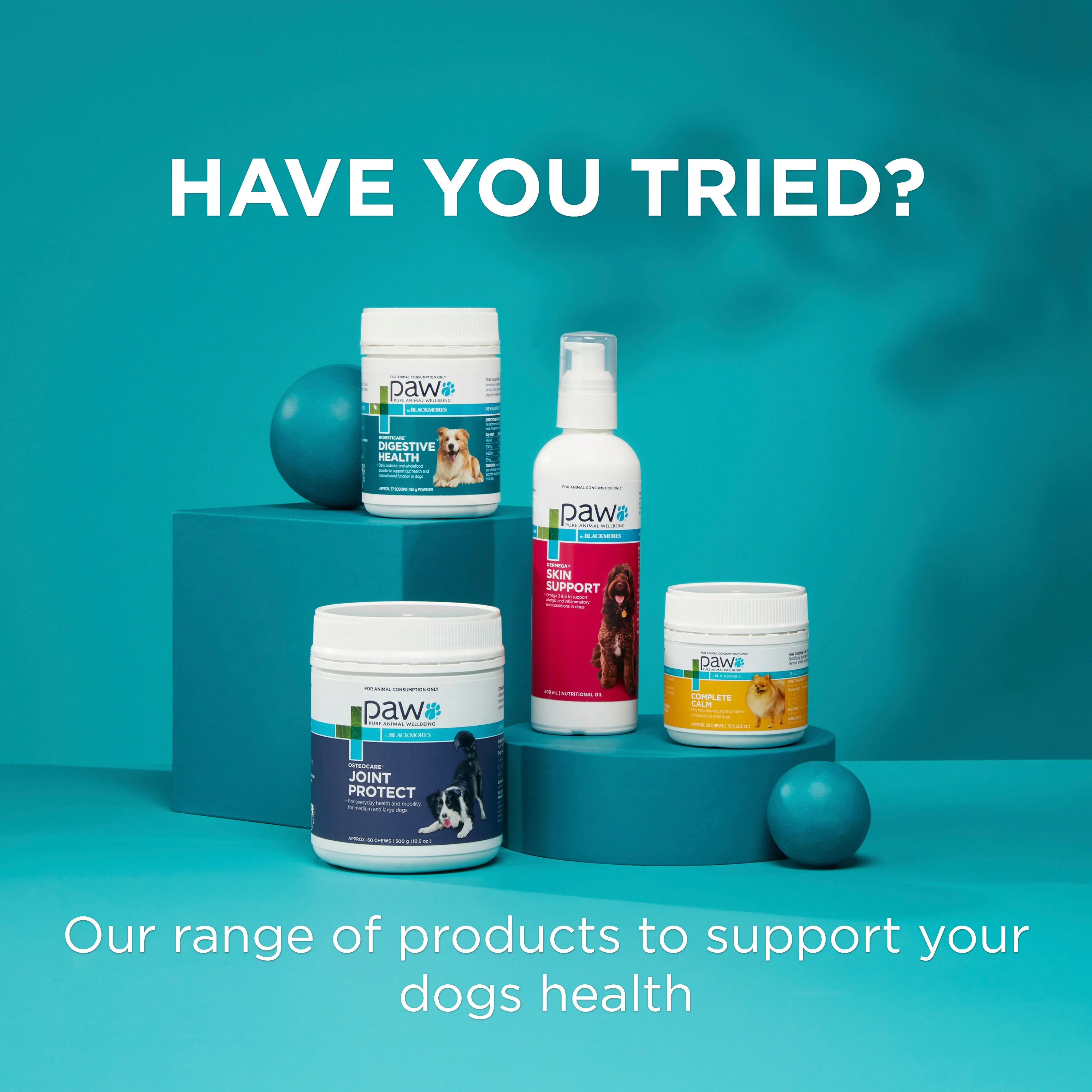 PAW - Coat, Skin and Nails Multivitamins for Dogs (60pk)