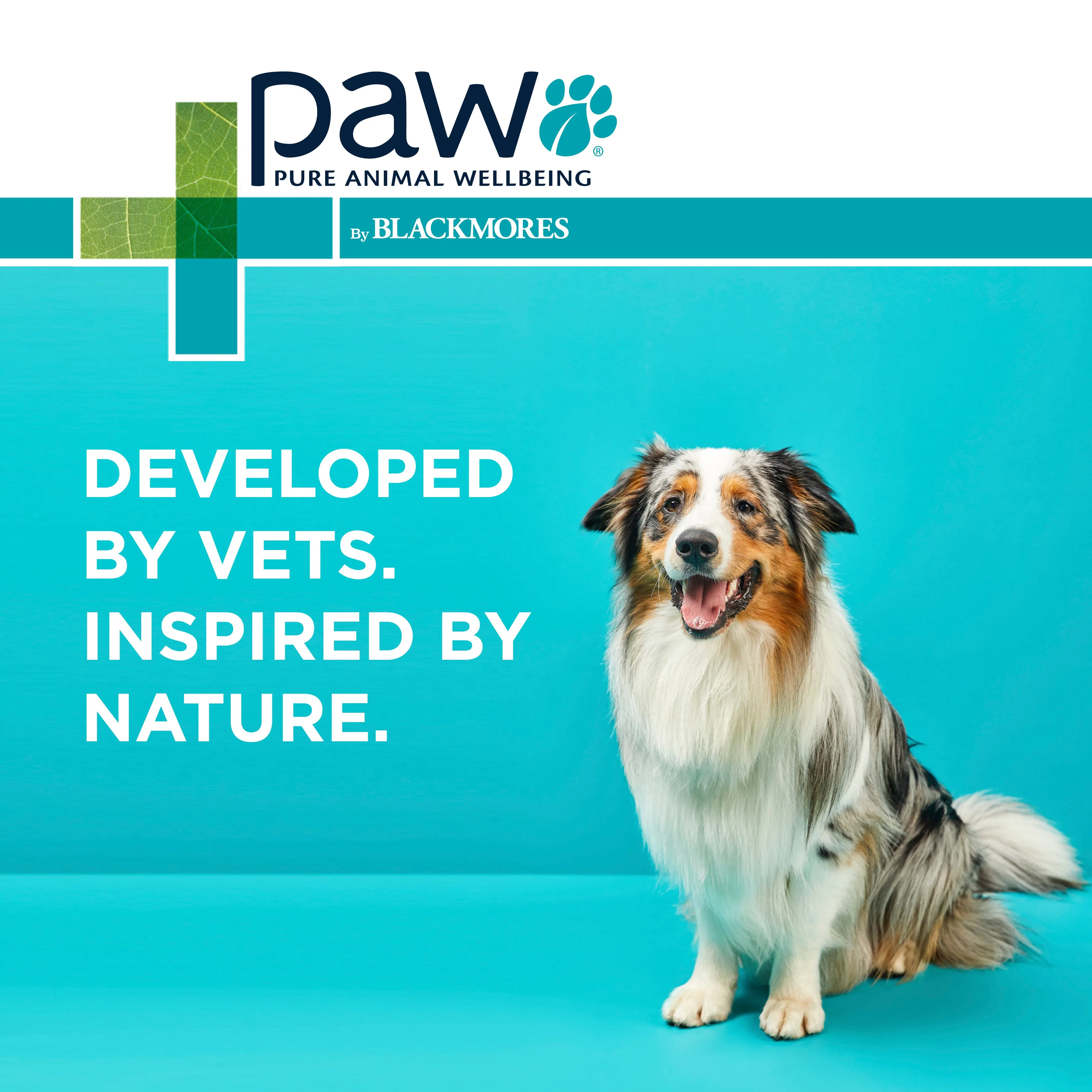 PAW - Coat, Skin and Nails Multivitamins for Dogs (60pk)