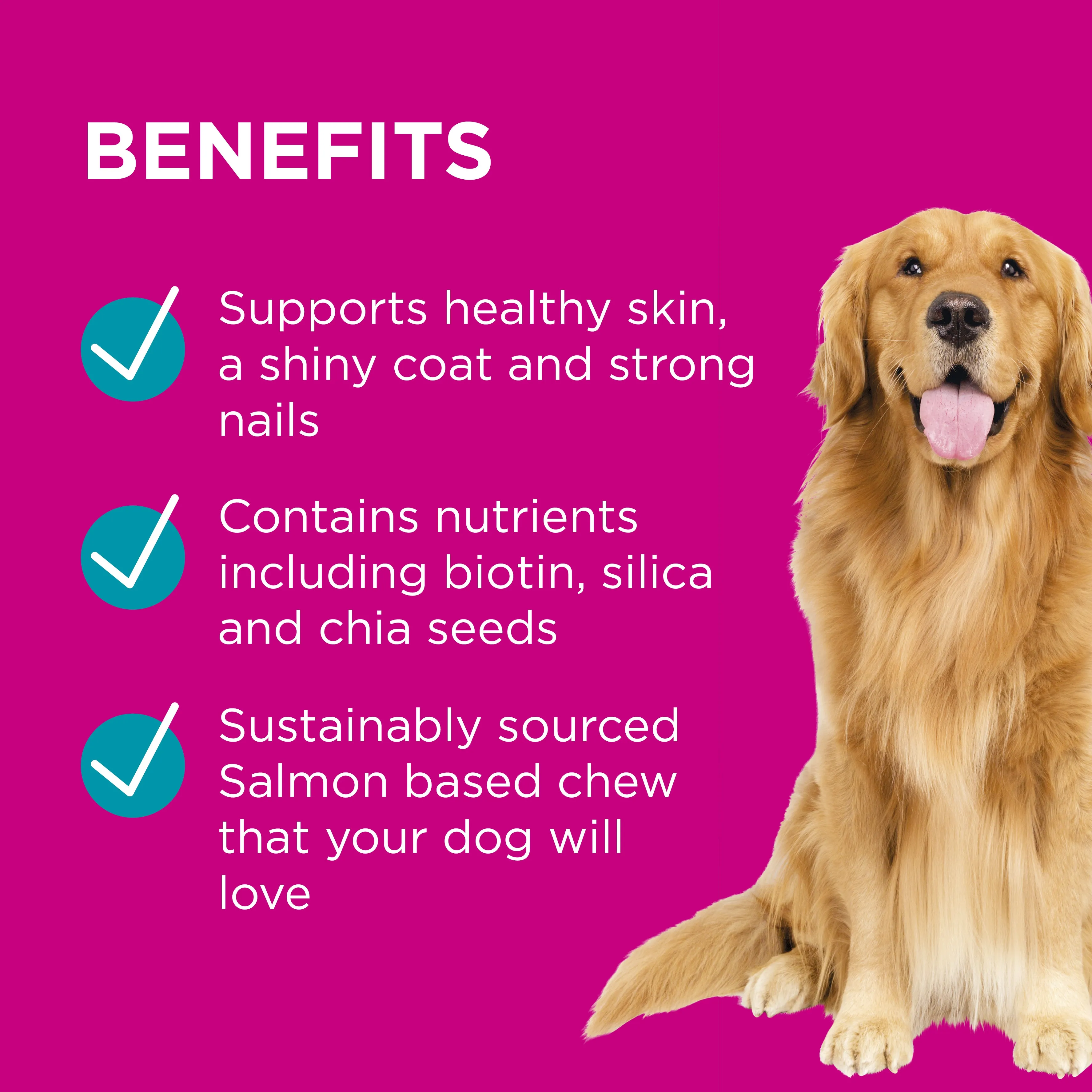 PAW - Coat, Skin and Nails Multivitamins for Dogs (60pk)