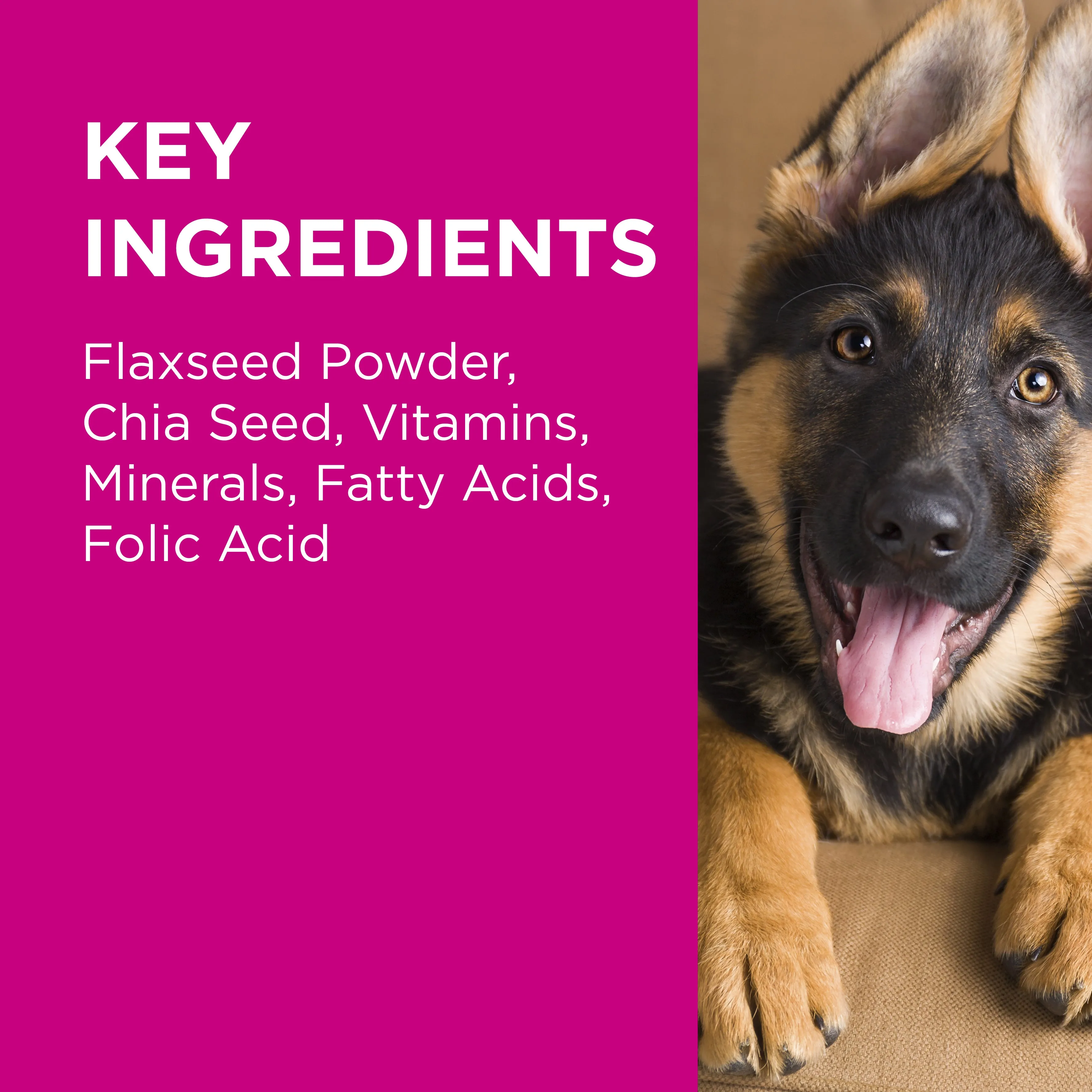 PAW - Coat, Skin and Nails Multivitamins for Dogs (60pk)