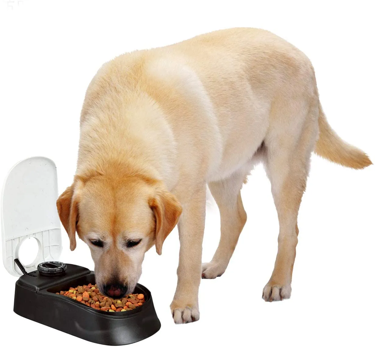 Pawise Automatic Pet Feeder Food Dispenser Station with Timer 2 meal