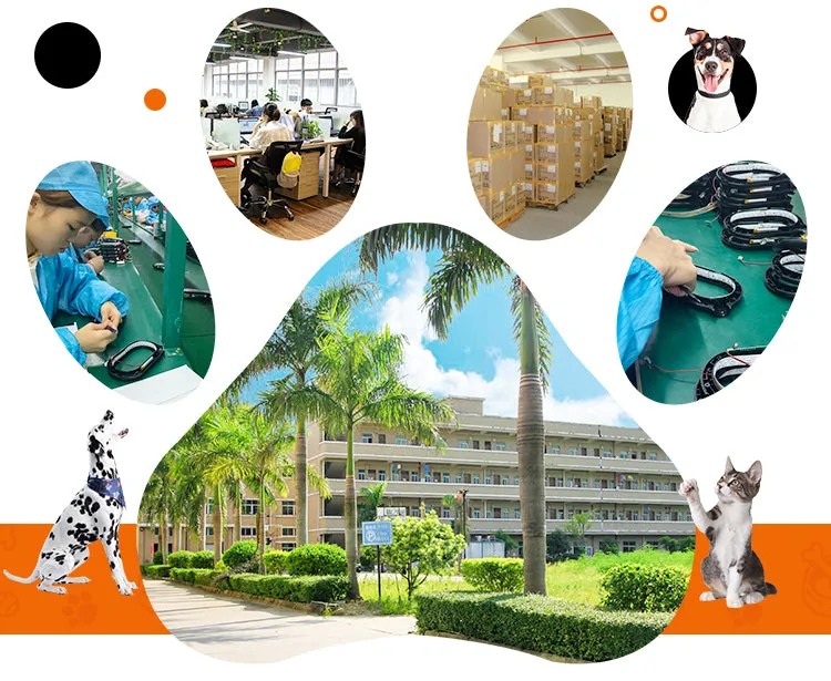 PAWS ASIA Suppliers New Design Popular ABS Plastic Smart Automatic Pet Water Feeder For Cat Dog Drinking