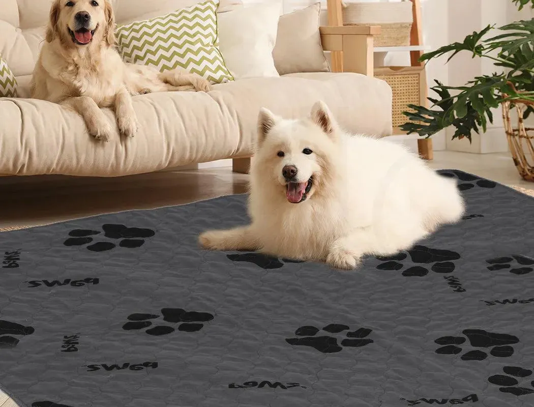 PaWz Reusable Puppy Pads - Washable & Super Absorbent