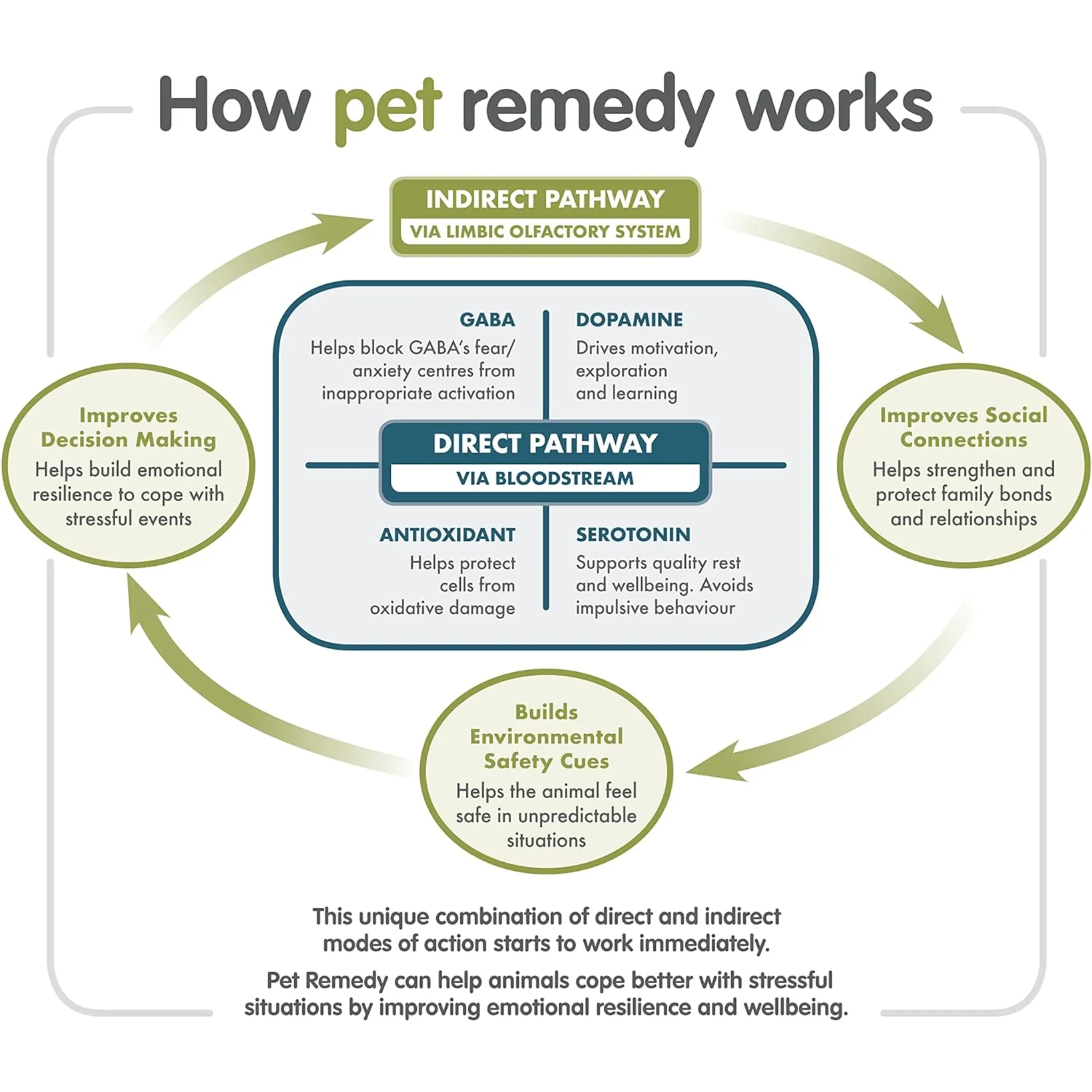 Pet Remedy Mini / Travel Calming Spray - 15ml