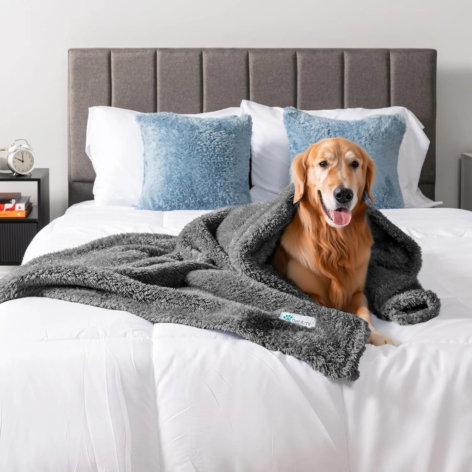 PetAmi Dog Blanket for Large Medium Dogs Grey, Fluffy Soft Puppy Blanket, Sherpa Fleece Cat Blanket for Kitten Doggie, Calming Pet Blanket Throw for Bed Washable Sofa Couch Cover, Large 40x60