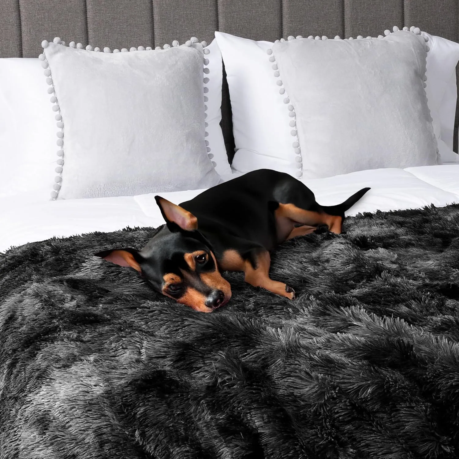 PetAmi Waterproof Dog Blanket for Medium Large Dogs, Calming Fleece Cat Blanket, Couch Protector Washable Sherpa Faux Fur Pet Throw for Puppy, Soft Reversible Leakproof 40x60 Tie-Dye Black