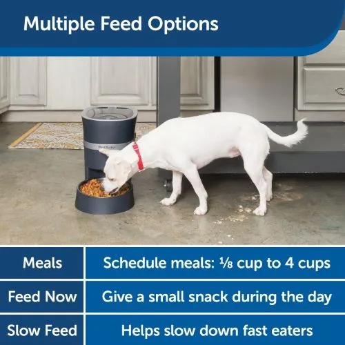 PetSafe® Smart Feed Automatic Pet Feeder