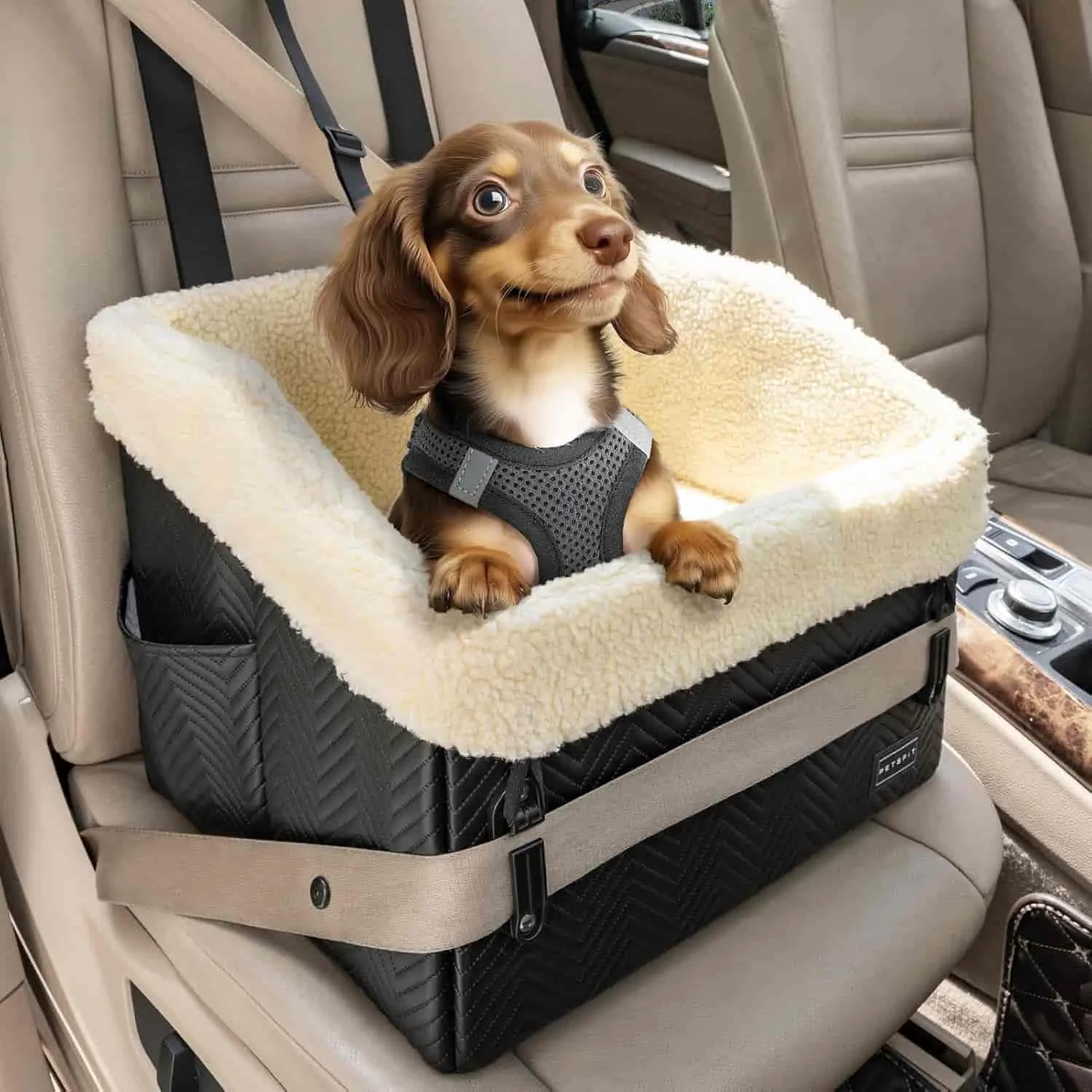 PETSFIT Small Dog Car Seat